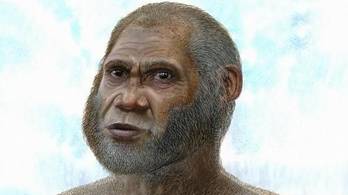 '¿Quién sos? Representación artística del “hombre del ciervo rojo”. Sus restos empezaron a investigarse en 2008 (Plos One).' ¿Quién sos? Representación artística del “hombre del ciervo rojo”. Sus restos empezaron a investigarse en 2008 (Plos One).