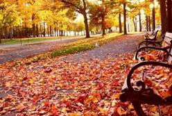 El viento produjo en noviembre más electricidad que ninguna otra fuente de energía en España