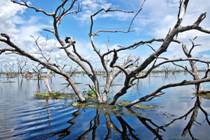 En la colorada tierra formoseña, el bañado La Estrella es el segundo humedal más grande del país (Turismo Formosa)