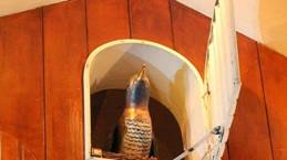 “Cucusa” obtuvo el 24% de los votos; “Pipí Cucú” sacó 20%; “Cuca” el 13%; “Carlota” y “Carlita Paz”, el 9%; “Cuky”, el 8%. También participaron Margarita, Chichí, Cucky y Cucurucha.