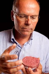 Mark Post, de la universidad de Maastricht, en 2013 al presentar la primera hamburguesa hecha con carne de laboratorio