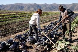 Un intento por la agroecología alimentaria en Calamuchita (La Voz) 