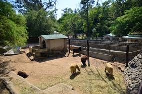 Parque de la Biodiversidad (Pedro Castillo / La Voz).