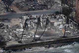 La vegetación altamente inflamable fue alcanzada por el fuego y se quemó (REUTERS/Marco Garcia) 